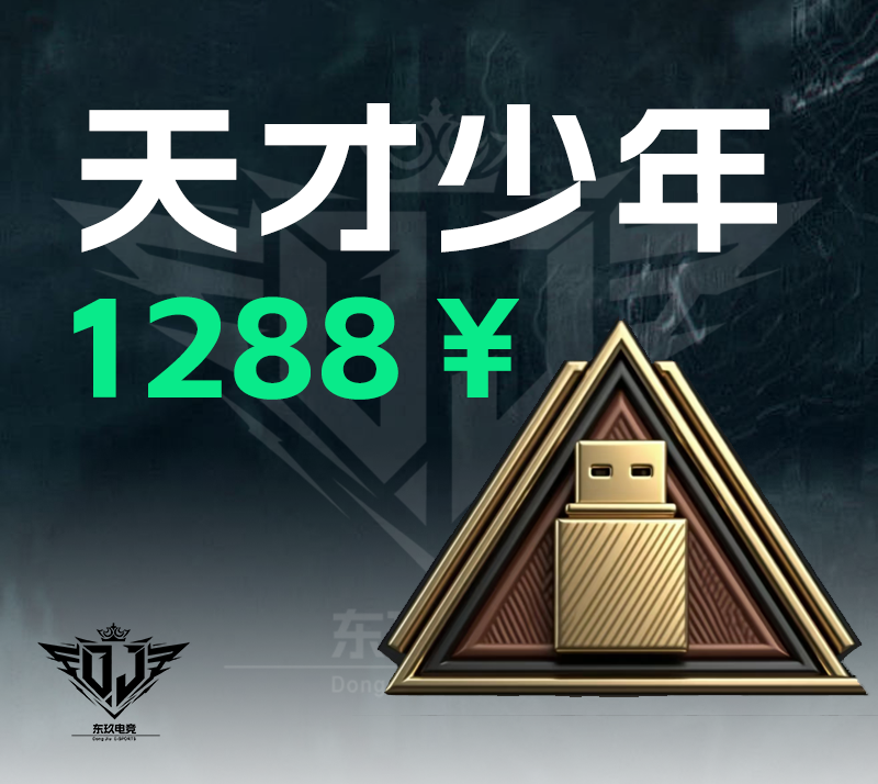 天才少年